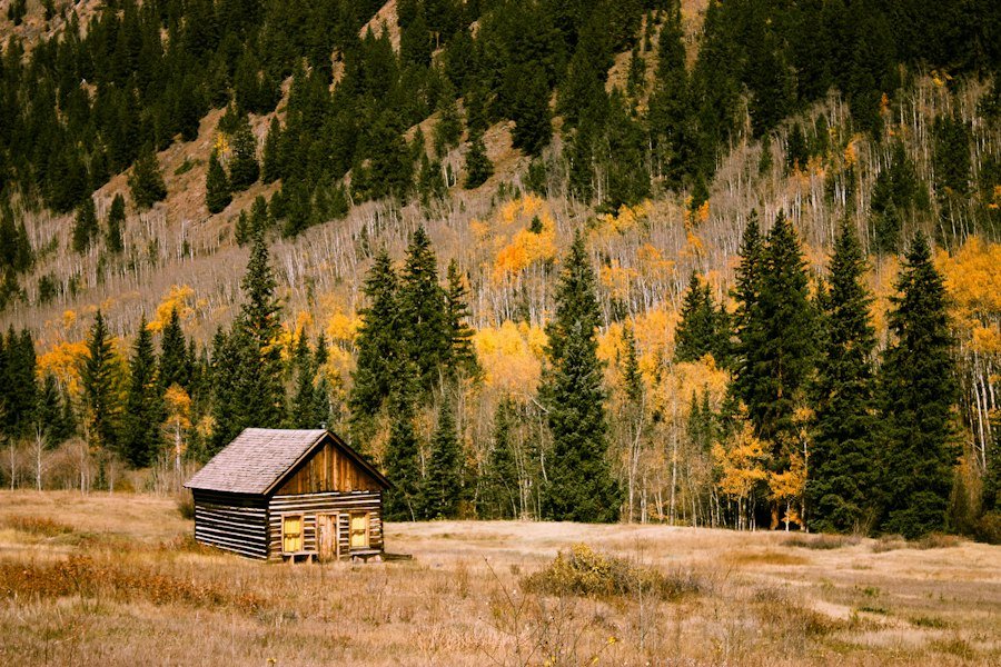 Small log cabin in a meadow below pine and aspen trees
